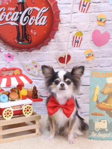 20230927ひめちゃん